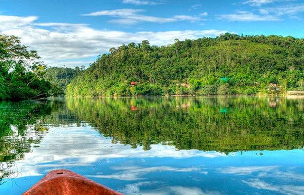 Recibe el año 2024 en TARAPOTO